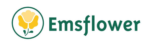 Emsflower GmbH - Sunsation