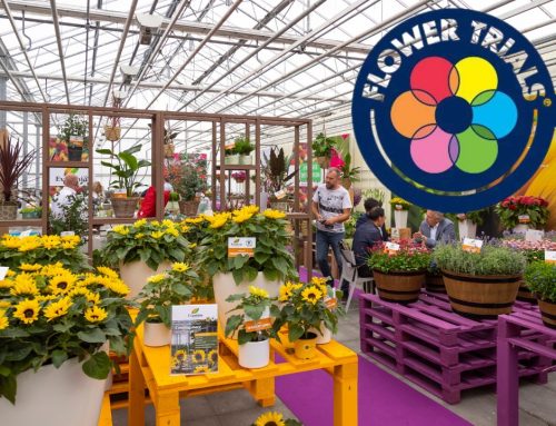Press release: Selecta one and Evanthia will join forces at FlowerTrials® 2022