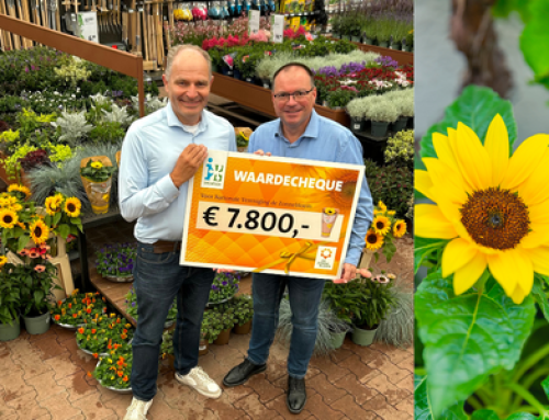 PERSBERICHT: Succesvolle verkoopactie potzonnebloemen levert €7.800 op voor Nationale Vereniging de Zonnebloem